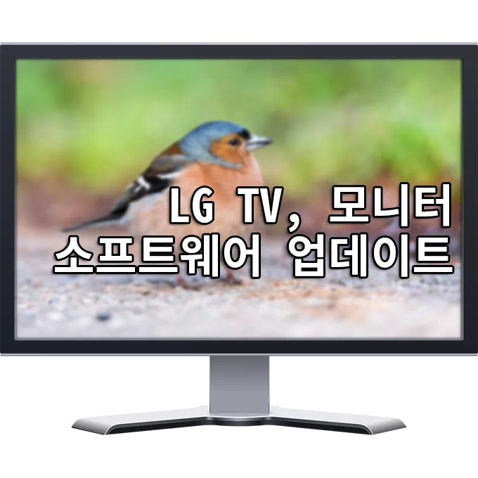 LG TV, 모니터(m2352) 펌웨어 업그레이드