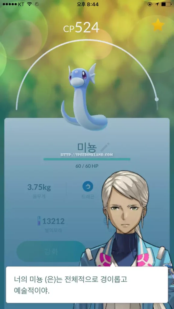 창원 진해 미뇽(망나뇽), 잉어킹(갸라도스) 위치 9 창원 진해 미뇽(망나뇽), 잉어킹(갸라도스) 위치 8