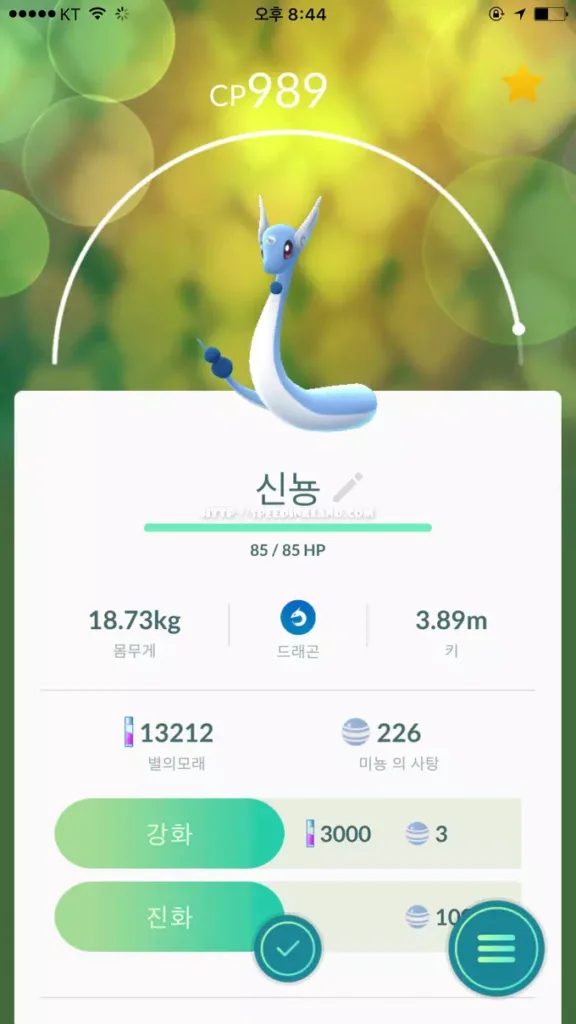 창원 진해 미뇽(망나뇽), 잉어킹(갸라도스) 위치 11 창원 진해 미뇽(망나뇽), 잉어킹(갸라도스) 위치 10