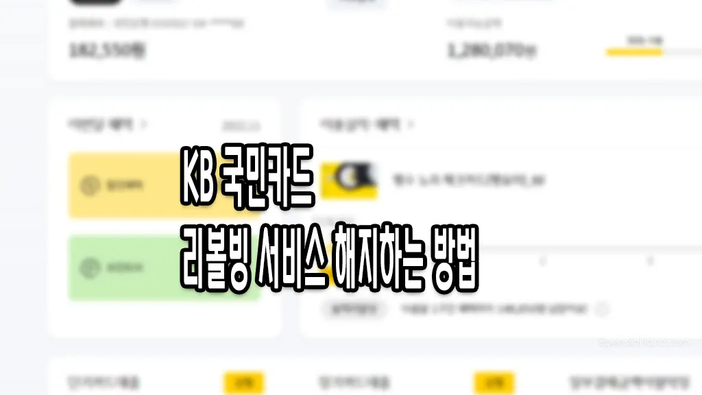 국민카드 리볼빙 해제
