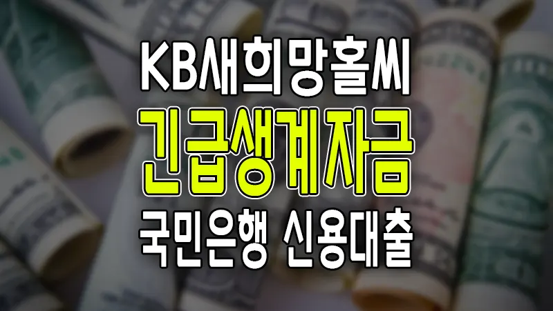 국민은행 신용대출 KB새희망홀씨 긴급생계자금 500만원 추가 소액