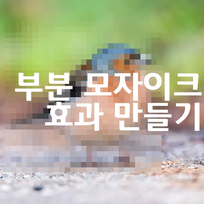 이미지 부분 모자이크 효과 내는 방법 3가지 그림판, 포토샵, 픽픽 14