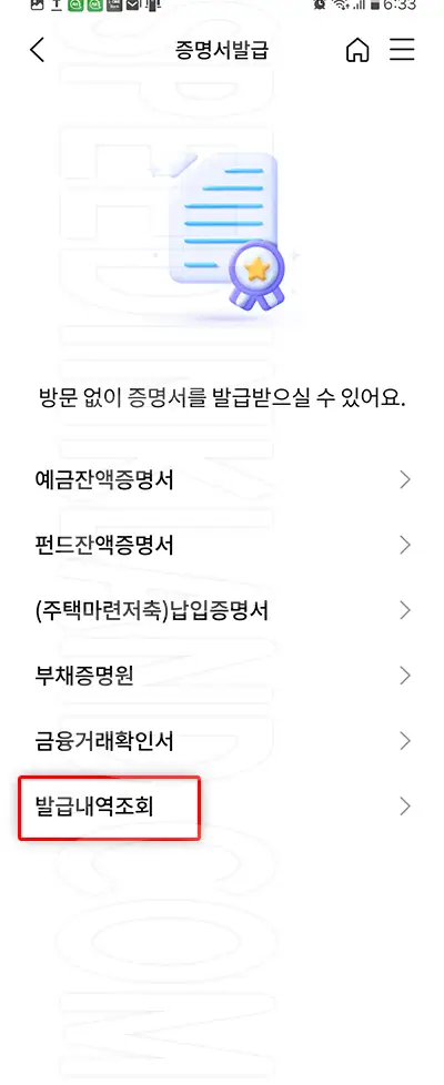 발급내역조회