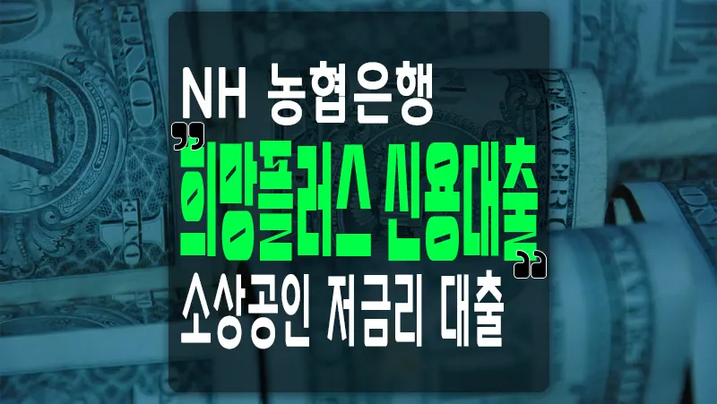 농협은행 신용대출 NH희망플러스 이용조건 및 한도