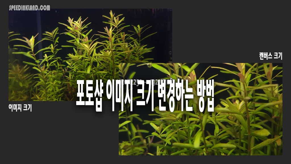 포토샵 이미지 크기 조절 2