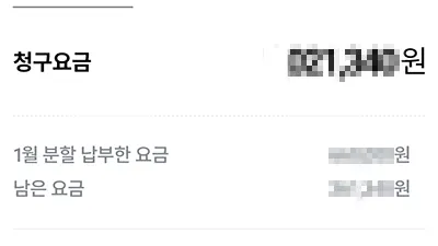 남은 요금