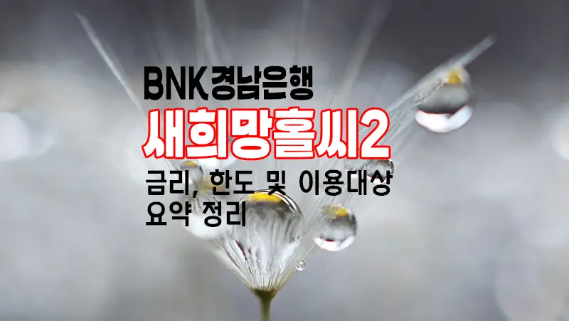경남은행 새희망홀씨2 대출 이용금리와 한도 알아보기