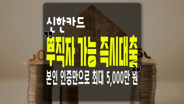주부 무직자 신용대출 신한카드 즉시대출 한도 및 금리 6