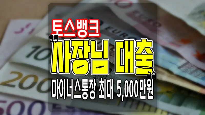 토스뱅크 신용대출 사장님 마이너스통장 개인사업자 전용상품